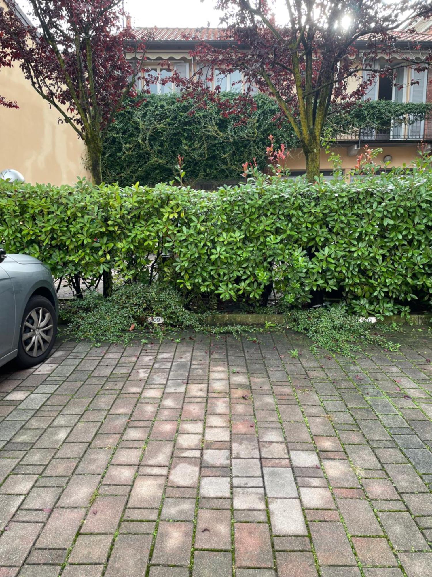 Gelsomino Appartamento Con Posto Auto Nel Centro Di モンツァ エクステリア 写真